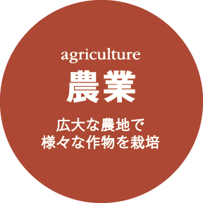 農業：広大な農地で様々な作物を栽培